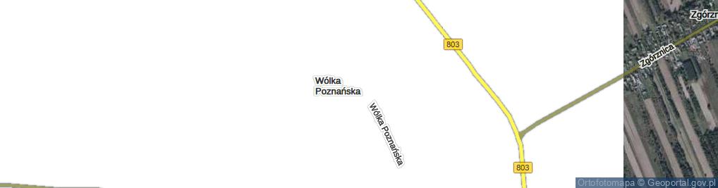 Zdjęcie satelitarne Wólka Poznańska ul.